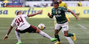 Soi kèo nhà cái Fluminense vs Palmeiras
